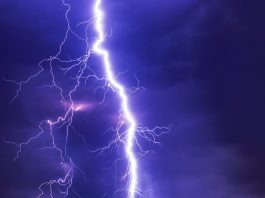 Electrical activity in living organisms mirrors electrical fields in atmosphere
