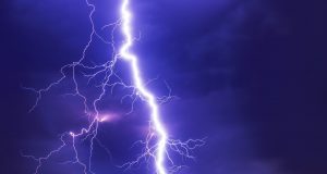 Electrical activity in living organisms mirrors electrical fields in atmosphere