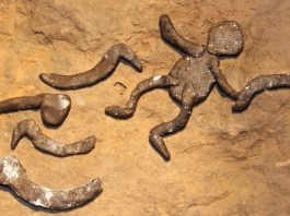Miniature rock art expands horizons