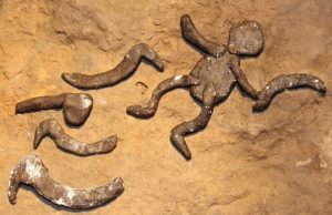 Miniature rock art expands horizons Miniature rock art expands horizons