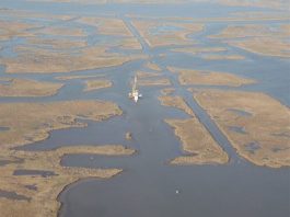 Mississippi Delta marshes in a state of irreversible collapse study shows