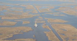 Mississippi Delta marshes in a state of irreversible collapse study shows