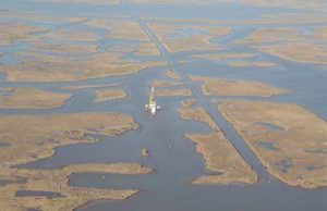 Mississippi Delta marshes in a state of irreversible collapse, study shows Mississippi Delta marshes in a state of irreversible collapse study shows