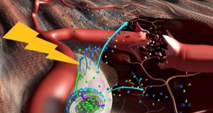 Nanostimulators boost stem cells for muscle repair