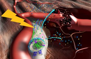 Nanostimulators boost stem cells for muscle repair Nanostimulators boost stem cells for muscle repair