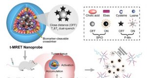 New double contrast technique picks up small tumors on MRI