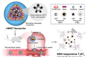 New double-contrast technique picks up small tumors on MRI New double contrast technique picks up small tumors on MRI