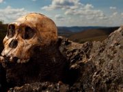 New study records dual hand use in early human relative