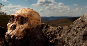 New study records dual hand use in early human relative