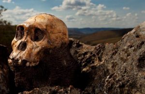 New study records dual hand use in early human relative New study records dual hand use in early human relative