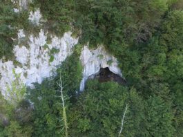 Occupation of the last Neanderthal groups in the Cantabrian region