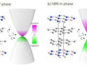 Oriented hexagonal boron nitride foster new type of information carrier