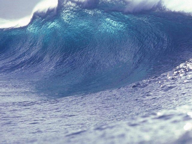 Research shows how park like tsunami defenses can provide a sustainable alternative to towering seawalls Research shows how park like tsunami defenses can provide a sustainable alternative to towering seawalls