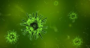 Researchers discover potential targets for COVID 19 therapy