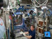 Researchers find space stations surface microbial profile resembles skin of its crew members