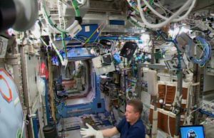 Researchers find space station’s surface microbial profile resembles skin of its crew members Researchers find space stations surface microbial profile resembles skin of its crew members