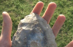 Researchers trace evolution of self-control Researchers trace evolution of self control