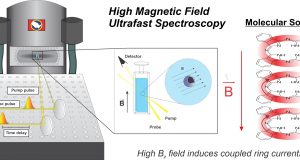 Scholes finds novel magnetic field effect in diamagnetic molecules scaled