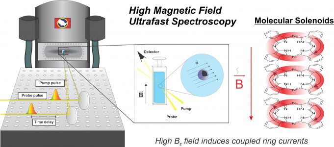 Scholes finds novel magnetic field effect in diamagnetic molecules scaled