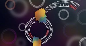 Scientists develop tool to sequence circular DNA
