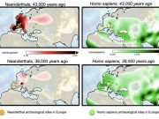 Supercomputer model simulations reveal cause of Neanderthal extinction