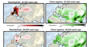 Supercomputer model simulations reveal cause of Neanderthal extinction