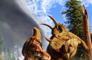 T. rex’s long legs were made for marathon walking T. rexs long legs were made for marathon walking