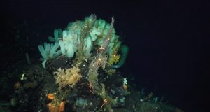 The deep ocean is warming slowly—but dramatic changes are ahead