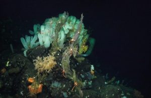 The deep ocean is warming slowly—but dramatic changes are ahead The deep ocean is warming slowly—but dramatic changes are ahead