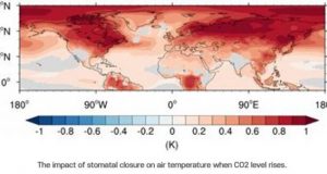 The revolt of the plants The arctic melts when plants stop breathing