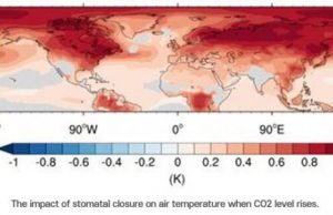 The revolt of the plants: The arctic melts when plants stop breathing The revolt of the plants The arctic melts when plants stop breathing