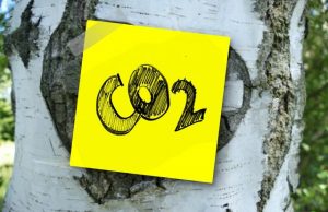 World can likely capture and store enough carbon dioxide to meet climate targets World can likely capture and store enough carbon dioxide to meet climate targets