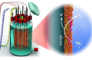 Anammox bacteria generate energy from wastewater while taking a breath Anammox bacteria generate energy from wastewater while taking a breath