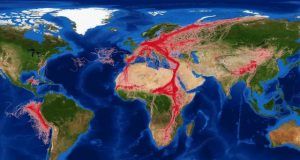 COVID 19 lockdown reveals human impact on wildlife