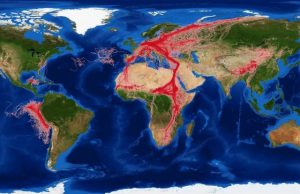 COVID-19 lockdown reveals human impact on wildlife COVID 19 lockdown reveals human impact on wildlife
