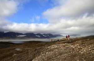 Carbon emission from permafrost soils underestimated by 14% Carbon emission from permafrost soils underestimated by 14