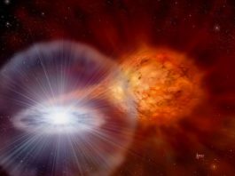 Class of stellar explosions found to be galactic producers of lithium