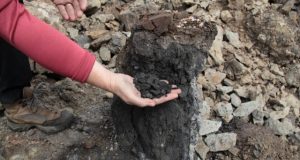 Coal burning in Siberia led to climate change 250 million years ago