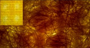 Face coverings made from layered cotton fabric likely slow the spread of COVID 19 better than synthetics