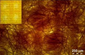 Face coverings made from layered cotton fabric likely slow the spread of COVID-19 better than synthetics Face coverings made from layered cotton fabric likely slow the spread of COVID 19 better than synthetics