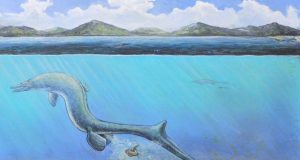 First egg from Antarctica is big and might belong to an extinct sea lizard