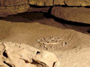 French cave reveals secrets of life and death from the ancient past
