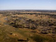 Hunting in savanna like landscapes may have poured jet fuel on brain evolution