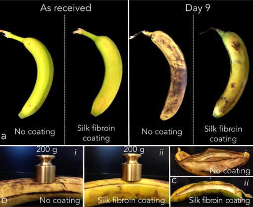 MIT startup wraps food in silk for better shelf life