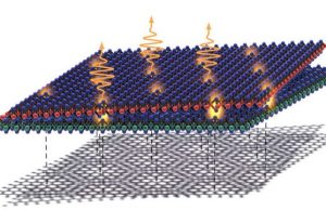 Particles trapped in twisted materials and quantum fingerprints identified Particles trapped in twisted materials and quantum fingerprints identified