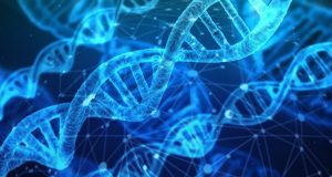 Physical link between RNA processing and epigenetic silencing discovered