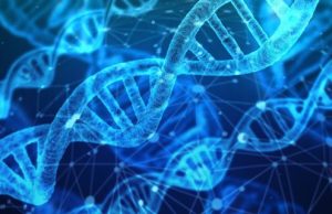 Physical link between RNA processing and epigenetic silencing discovered Physical link between RNA processing and epigenetic silencing discovered