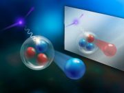 Physicists study mirror nuclei for precision theory test Physicists study mirror nuclei for precision theory test