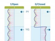 Researchers create first room temp magnon switch with industrially useful properties
