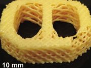 Researchers develop 3 D printable material that mimics biological tissues